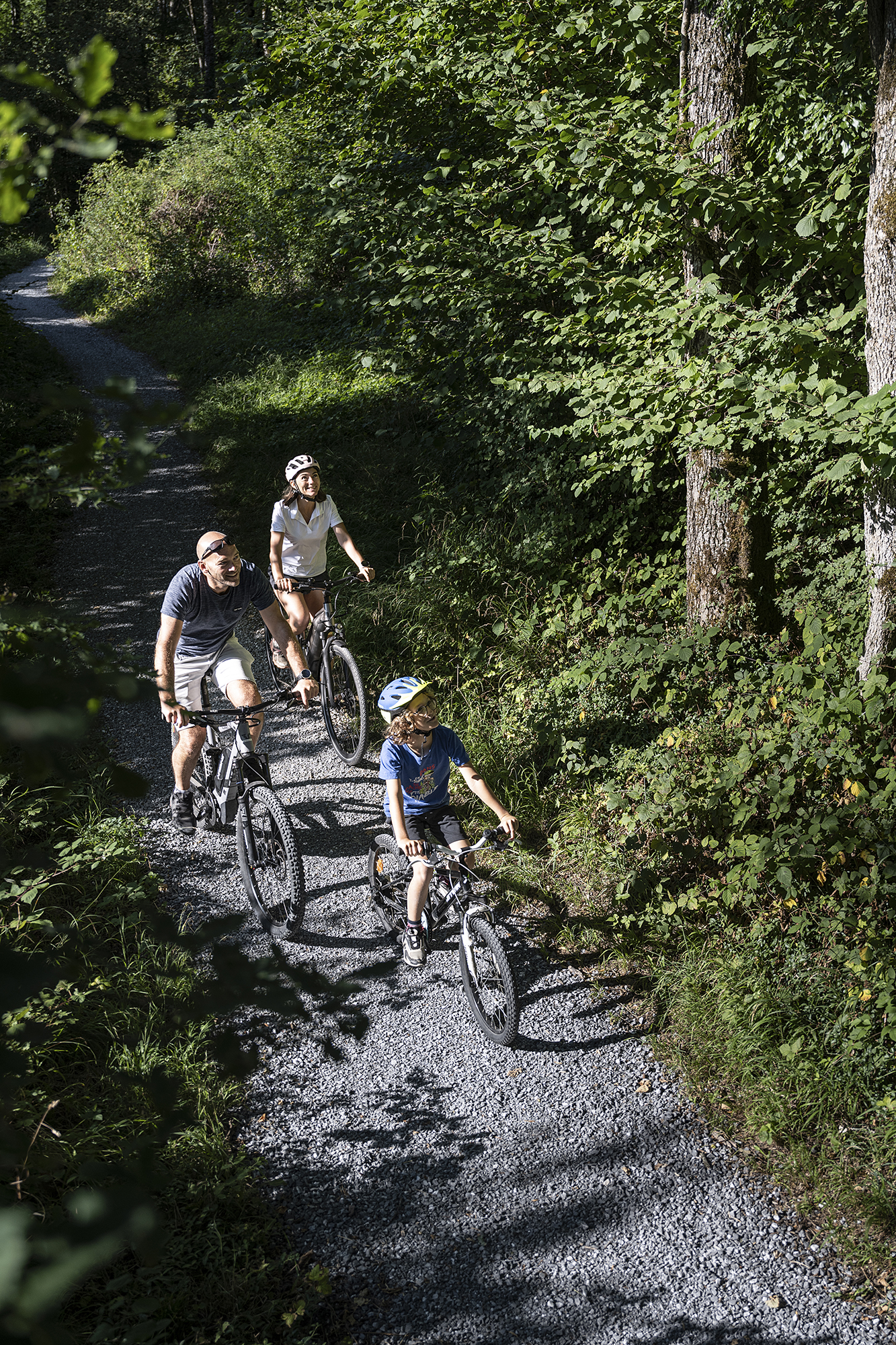 rando vélo forêt