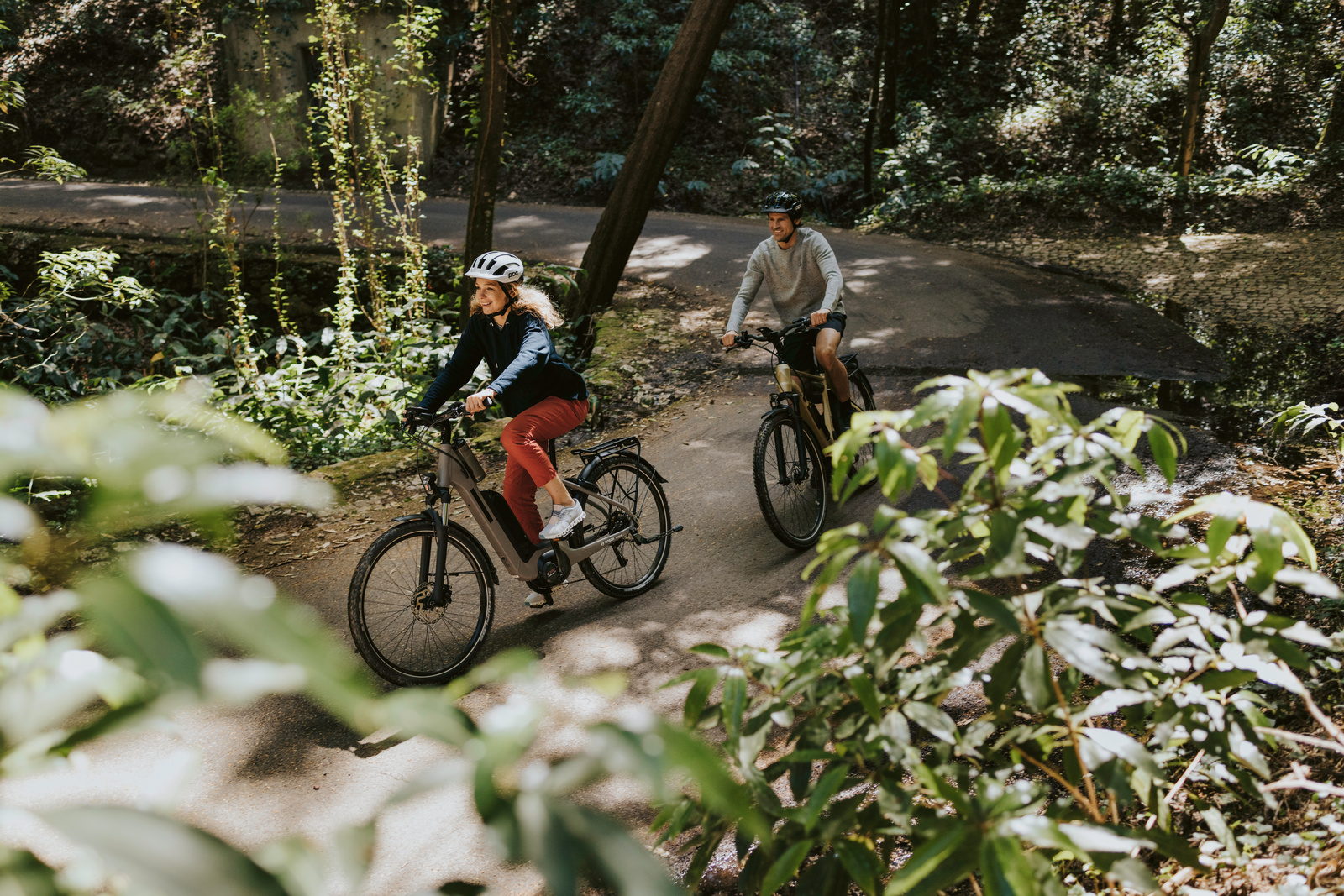 bosch ebike route des grandes alpes