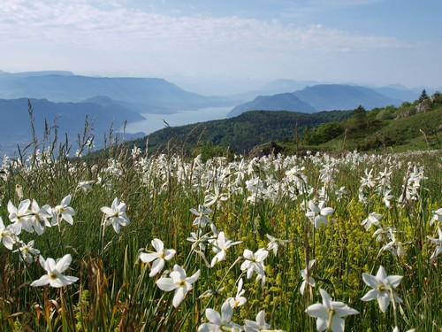 Le Grand Colombier, un col emblématique du Bugey