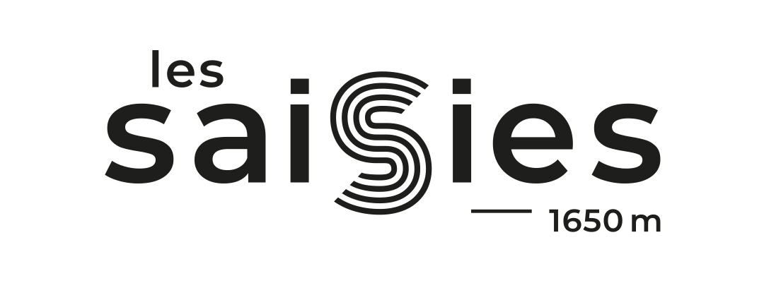 logo les saisies