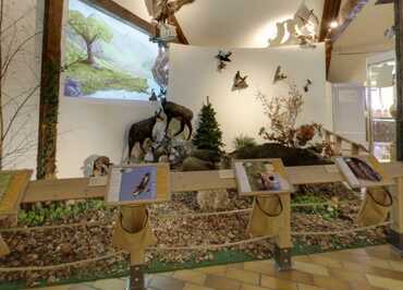 Musée Patrimonial du Pays de Thônes - Fondateurs : François et Lucien Cochat