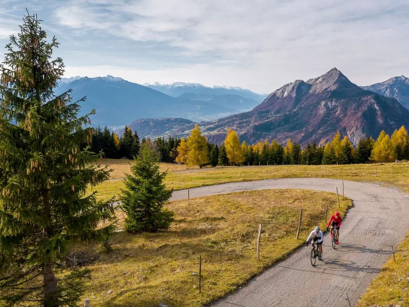 CYCLOSPORTIFS_COL ARPETTE