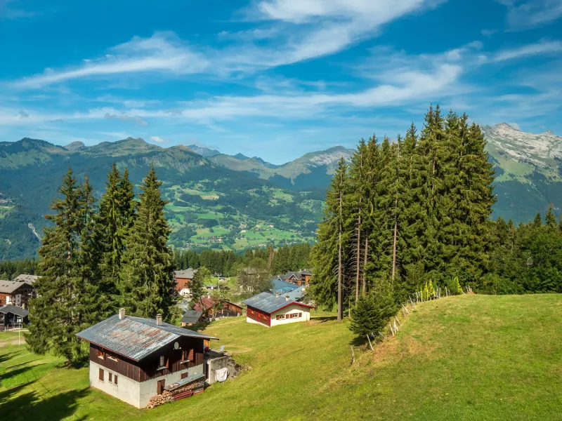 Chalets à Morillon Les Esserts
