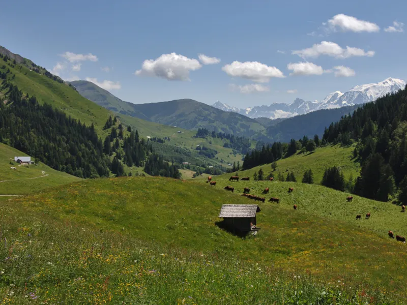 Col des Aravis