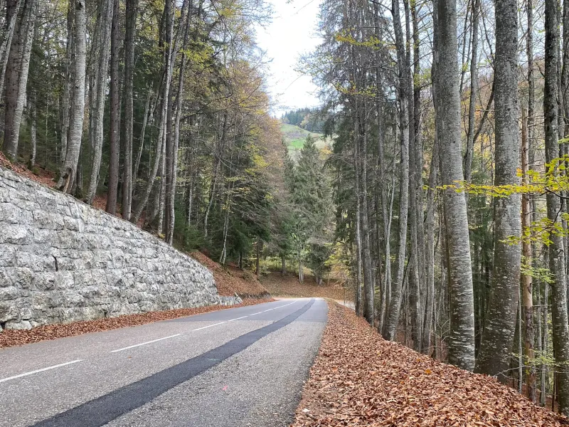 Descente du col du feu vers Lullin