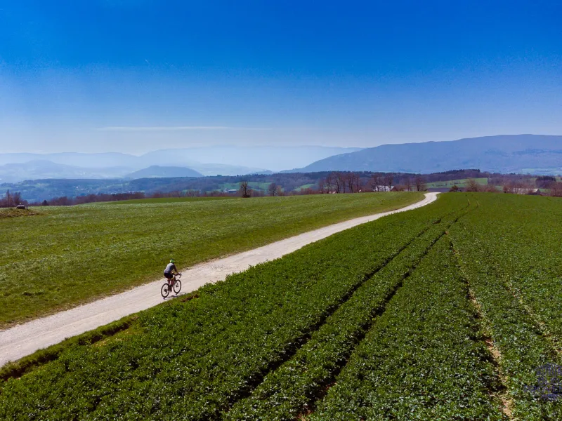 Cap au sud sur les pistes gravel du Mont Sion
