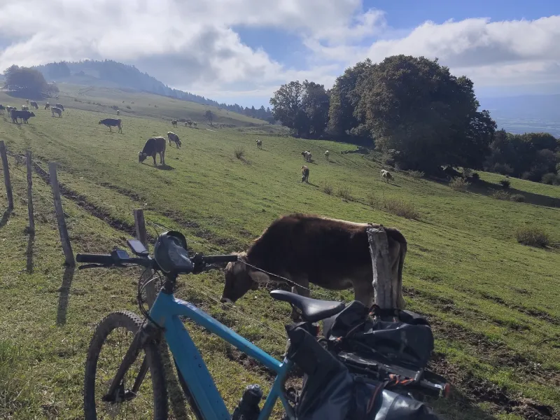 Sur le Salève à vélo