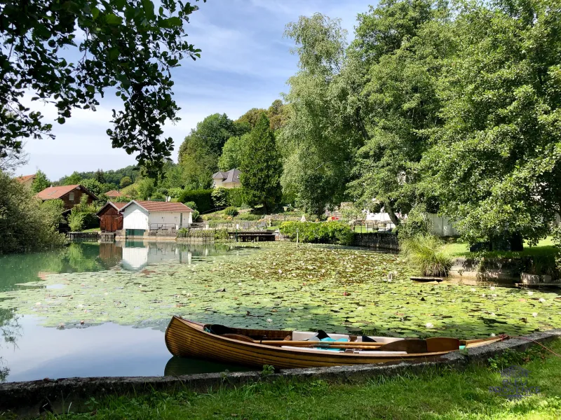 Barque dans les marais du Lac d'Aiguebelette