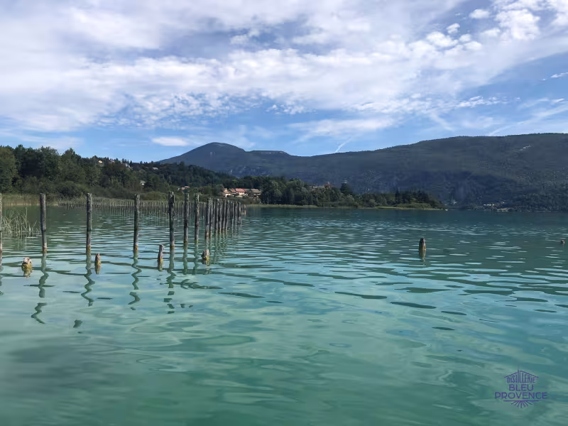Eaux limpides du Lac d'Aiguebelette à Lépin-le-Lac