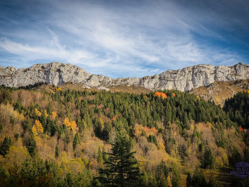 Ambiance automnale autour de Villard-de-Lans
