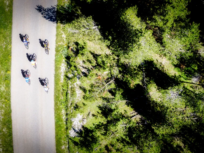 Mélèzes de la Clarée