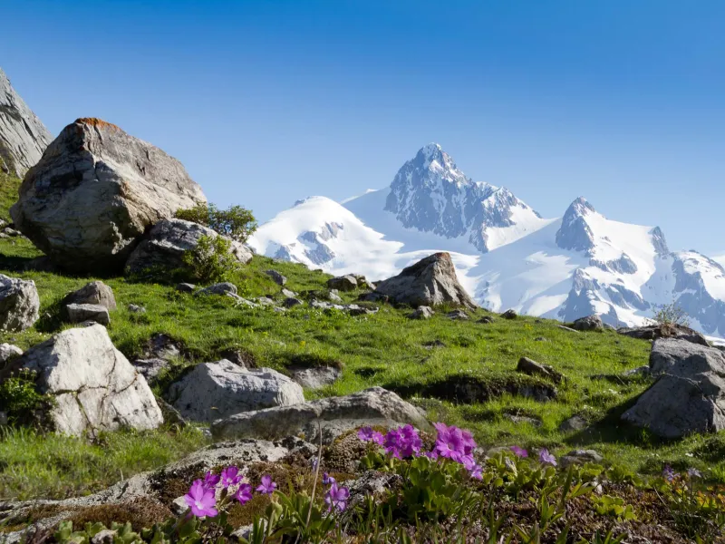 Les Chapieux - Manu Reyboz