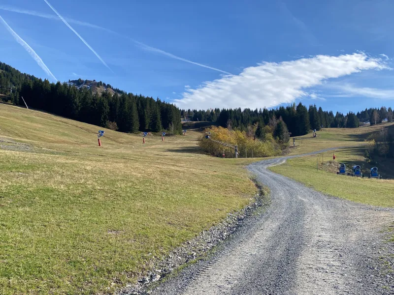 Montée vers le col de Ranfoly - Les Gets