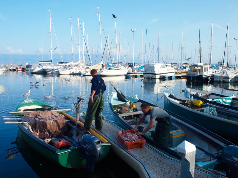 Pêcheurs sur le lac Léman