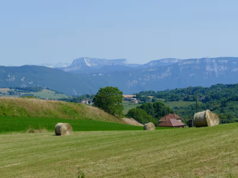Vue sur la Chartreuse depuis l'Avant-Pays Savoyard