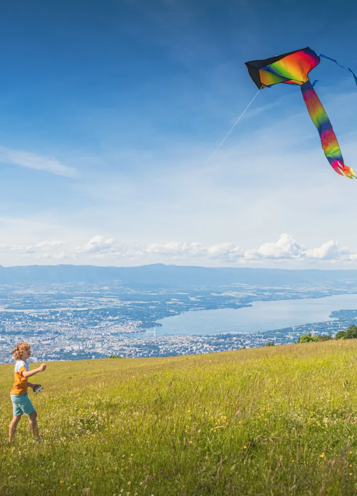 vue depuis le haut du salève