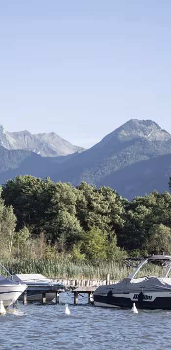 Sources du Lac d'Annecy - 1