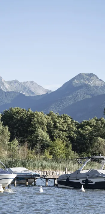 Sources du Lac d'Annecy - 1