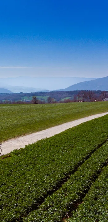Cap au sud sur les pistes gravel du Mont Sion