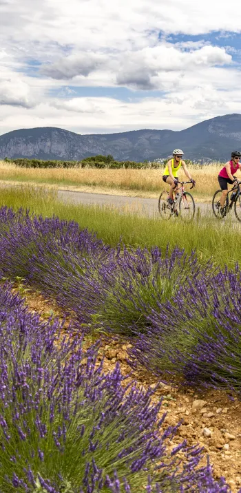 HAUTE PROVENCE_vélo route_Grand Tour Provence Alpes_Thibaut VERGOZ_2021 (117).jpg