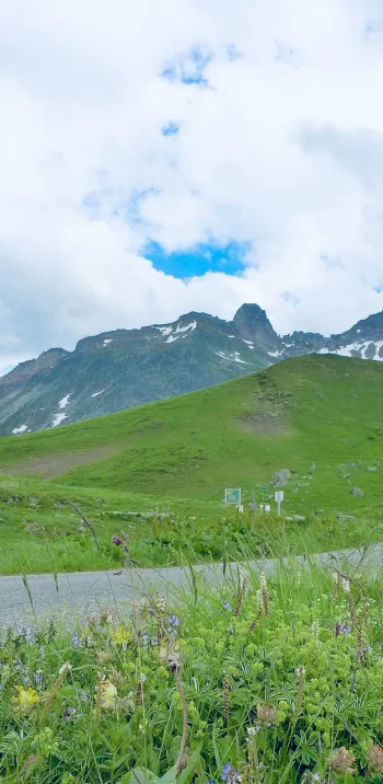 Sommet verdoyant du Cormet de Roselend