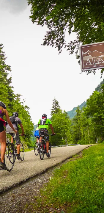 Panneau signalétique sur Route des Grandes Alpes