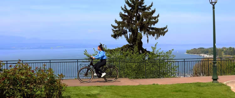 bannière velo.jpg