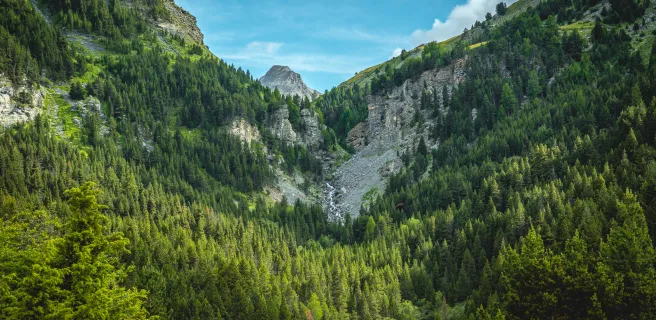 Vars / Barcelonnette