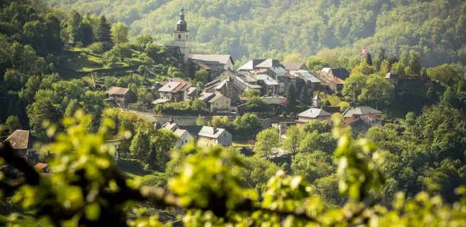 Conflans depuis Albertville