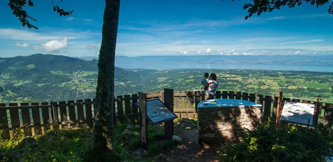 Panaroma depuis le belvédère de Tréchauffé (La Forclaz)