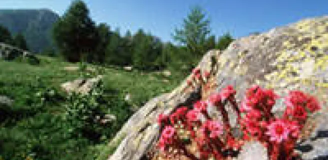 Parc national du Mercantour