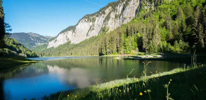 Lac de Montriond