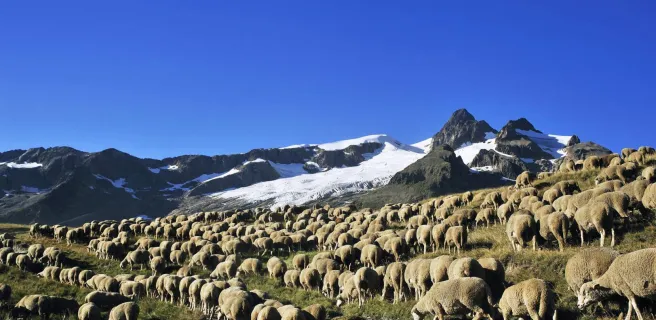 Vallée des Chapieux