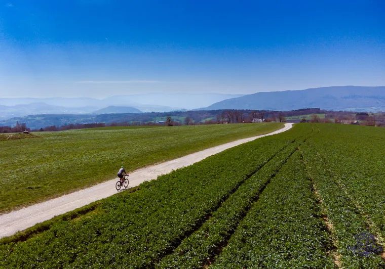 Cap au sud sur les pistes gravel du Mont Sion