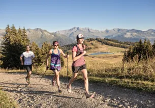 trail les saisies