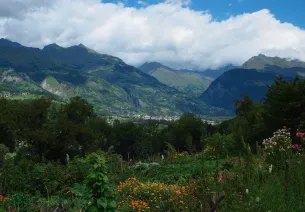 Tarentaise et massif de la Vanoise