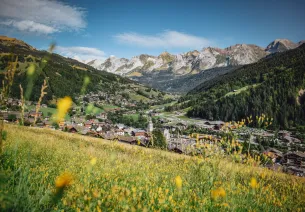 Le Grand-Bornand et Grand-Bornand Chinaillon