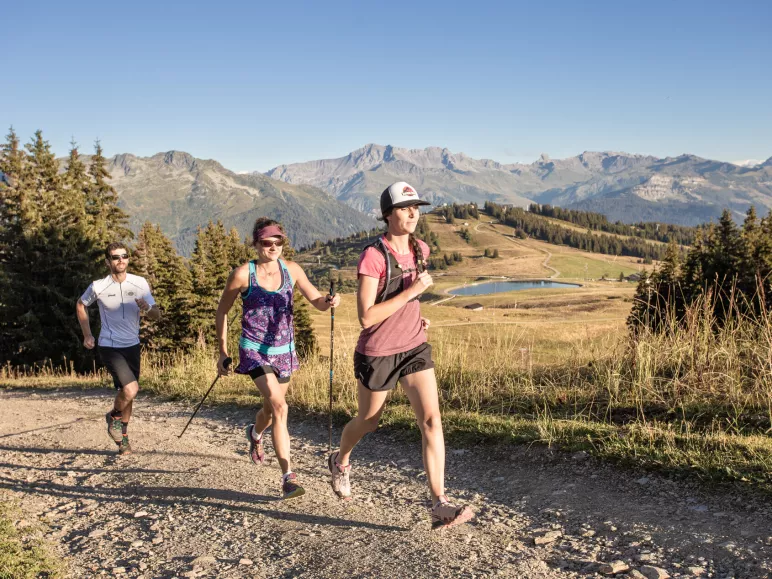 trail les saisies