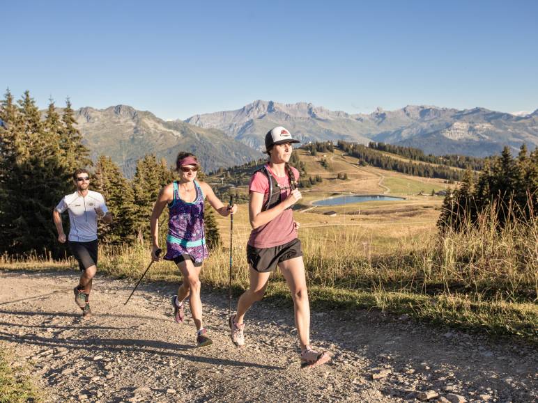 trail les saisies