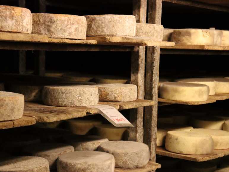 Tomme