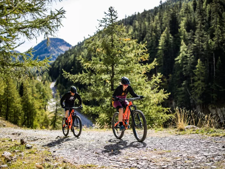 Vtt dans la foret de Nice
